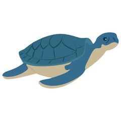 
Sea turtle flat icon vector on white background 
