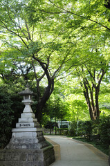 東郷神社の石灯籠