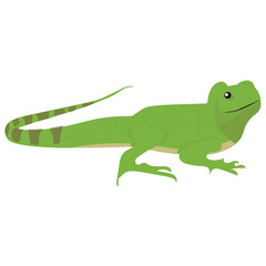 
A flat icon design of a lizard 
