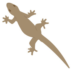 
A flat icon design of a lizard 
