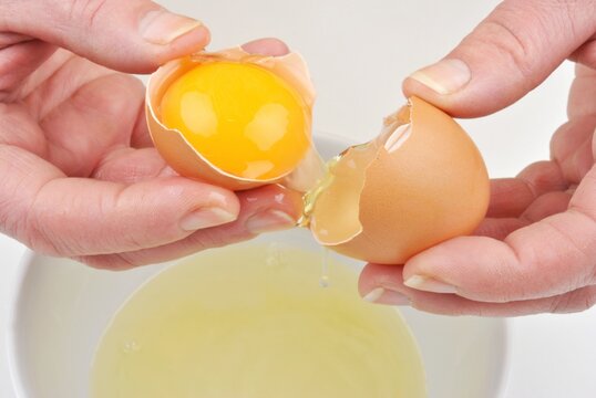 Open One Organic Egg To Separate Egg Yolk