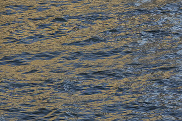 background water lake waves / beautiful water texture