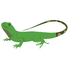 
A flat icon design of a lizard 
