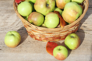 A basket of ripe apples stands on a wooden table in the fresh air