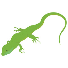 
A flat icon design of a lizard 
