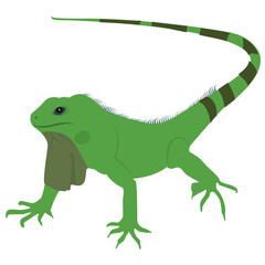 
A flat icon design of a lizard 
