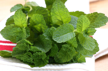 some fresh organic peppermint from the garden