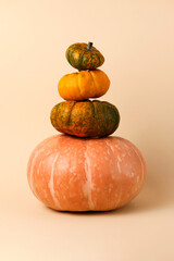 Pyramid fromfall pumpkins of the different size and color.Concept of the autumn harvest.Vertical banner with copy space.