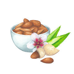 Watercolor bowl of almond nuts decorated with flowers and leaves.