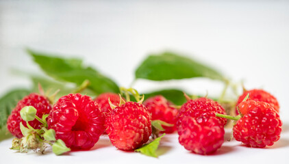 ripe raspberries on a white background with green leaves and unblown buds copy space upstairs