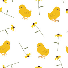 Seamless vector illustration with daisies and chickens