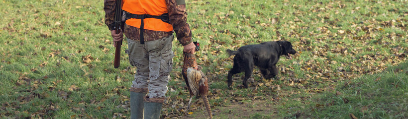 A man with a gun in his hands and an orange vest on a pheasant hunt in a wooded area in cloudy...