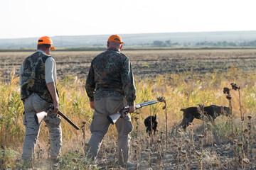 Duck hunters with shotgun walking through a meadow. .Rear view of a man with a weapon in his hands.