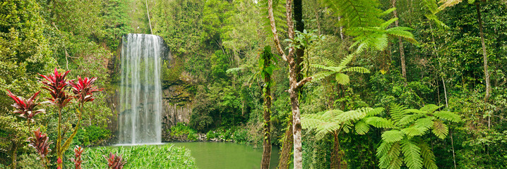 Beaatiful panorama shot of tropical Millaa Millaa falls in Austr © Yay Images