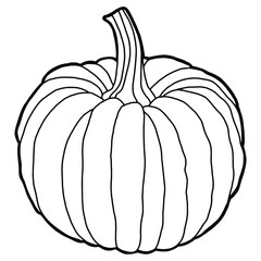 Vector illustration. Coloring page. Hand drawing pumpkin. Outline drawing. Isolated on white drawing