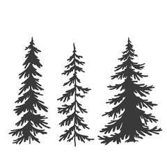 spruce tree set, vector hand drawing, silhouette