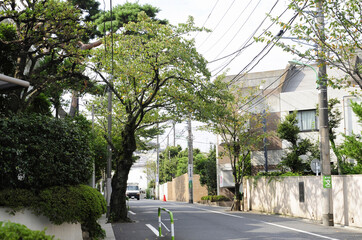 世田谷区桜新町の住宅街