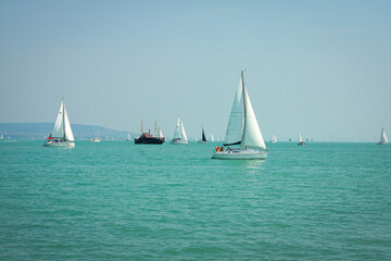 Fototapeta premium ŻAGLÓWKI NA JEZIORZE BALATON PRZY PÓŁWYSPIE TIHANY
