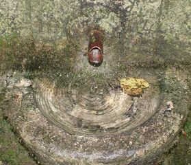 Detail eines alten Brunnens