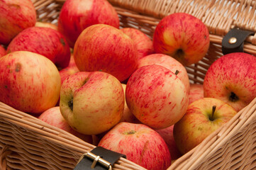 Fresh apples in wicker basket. Agriculture. Harvest concept. Fall food. Food background. Healthy food 