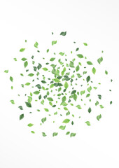 Green Leaf Falling Vector White Background 