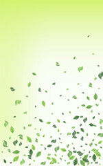 Lime Leaves Tree Vector Green Background Pattern. 