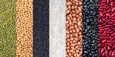 Multicolor dried legumes for background. Different dry bean for eating healthy. A variety of beans. Multicolor dried legumes for background.