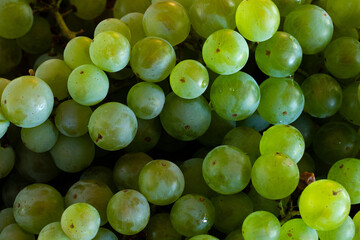 Wine close-up shot for background