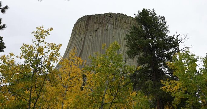 Beautiful autumn fall colors forest Devils Tower Wyoming 4K. Rock tower in Black Hills Wyoming. United States National Monument. Recreation, tourism, vacation, and rock climbing destination.