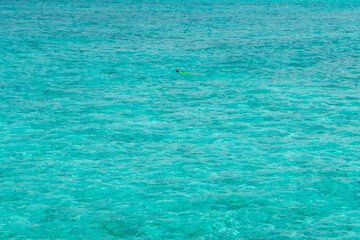 Girl in vivid color swim suit snorkeling alone isolated in waters of Indian ocean on Maldive islands