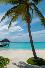 Scenery view of white sand beach of Indian ocean with palm tree and tropical villa on Maldive islands