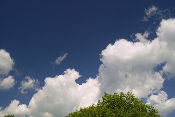 Obraz premium 青空