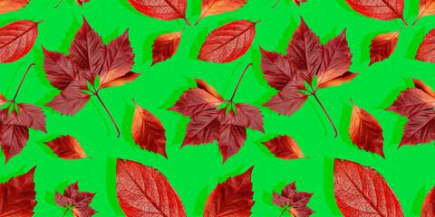 Bright seamless pattern from bright colored leaves.