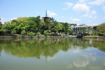 Fototapeta na wymiar 猿沢池と興福寺五重塔