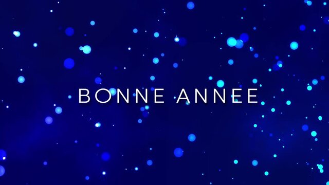 bonne ann&eacute;e
