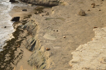 Sunset over the wildlife park and stunning Valdes Peninsula in Argentina