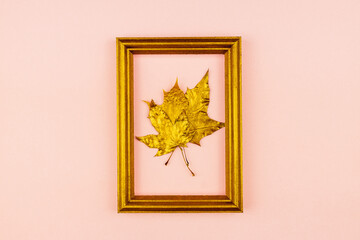 Autumn bouquet of golden painted maple leaves on pink background. Trendy concept. Flay lay in minimalism style.