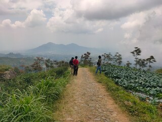 country road on hill