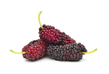 Mulberry fruits on white background.