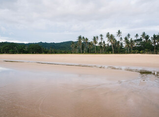 Empty beach with palm trees in El Nido, Philippines