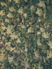 Aerial view of umbrian landscape near perugia, beautiful bird's eye view of classic italin landscape