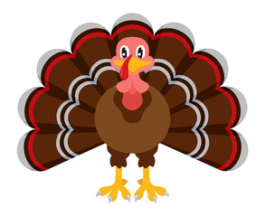 Cartoon turkey character
