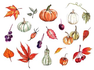 Autumn plants set. Pumpkins, red and orange leaves, rosehip, rowan, physalis. Watercolor hand painted illustration,   isolated, white background 