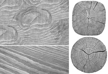 Wood texture. Lining boards wall. Wooden background. pattern. Showing growth rings..