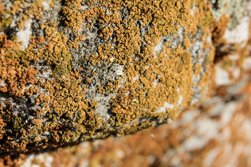 Rock, stone closeup, Bashkortostan