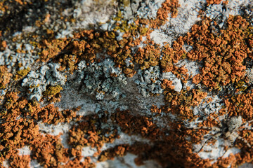 Rock, stone closeup, Bashkortostan