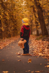 Fototapeta premium A child with a toy in his hand is standing in the autumn park. View from the back. Boy in a yellow hat with a teddy bear in his hand. Childhood.