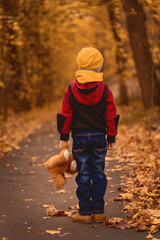 A child with a toy in his hand is standing in the autumn park. View from the back. Boy in a yellow hat with a teddy bear in his hand. Childhood.