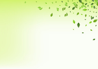 Lime Greenery Swirl Vector Green Background 