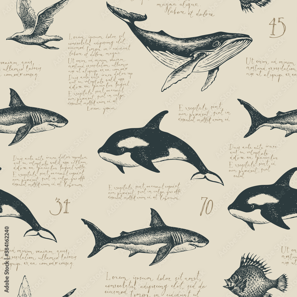 Poster seamless pattern with handwritten latin text lorem ipsum and various hand-drawn fishes. vector repea
